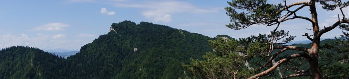 Widok z Sokolicy