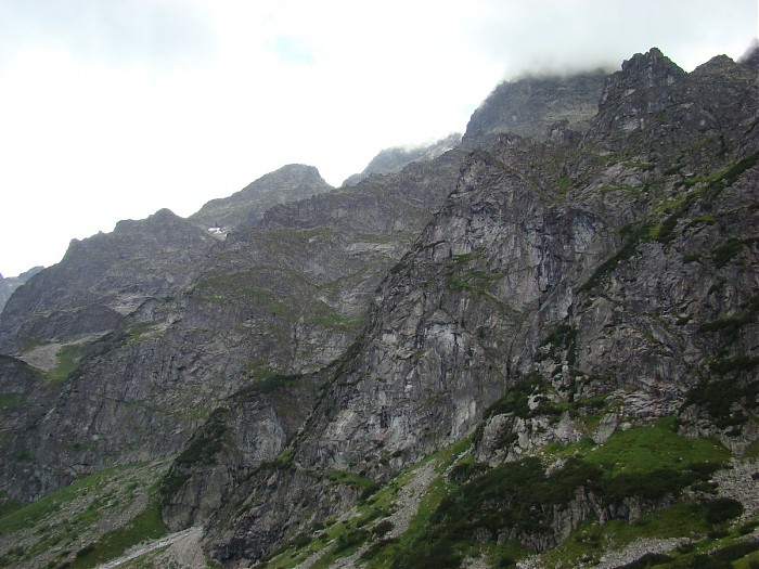 Mięgusze