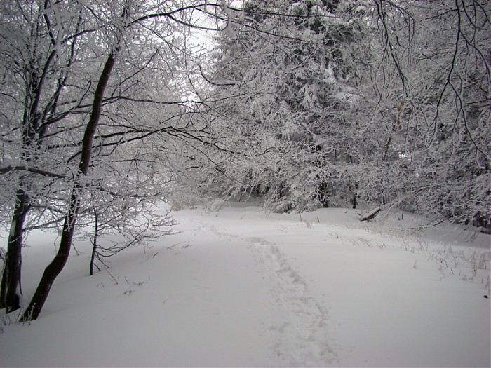W krainie Królowej Śniegu