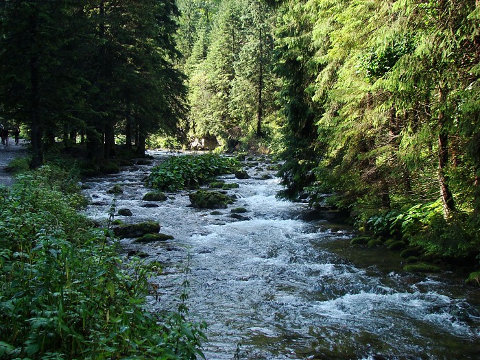 Kościeliski Potok
