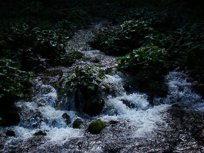 Kościeliski Potok
