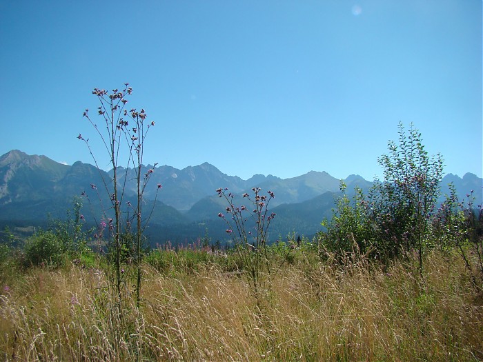 Tatrzańska panorama z Bukowiny